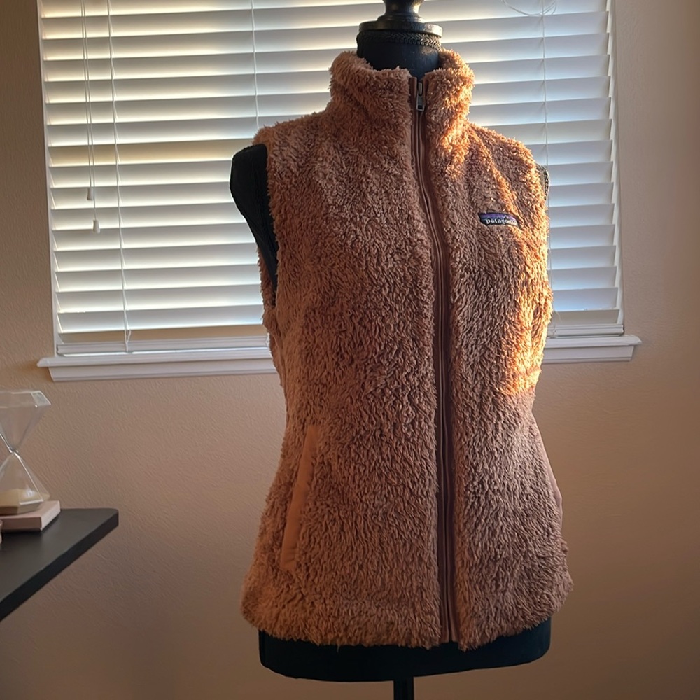 Teddy bear Patagonia vest